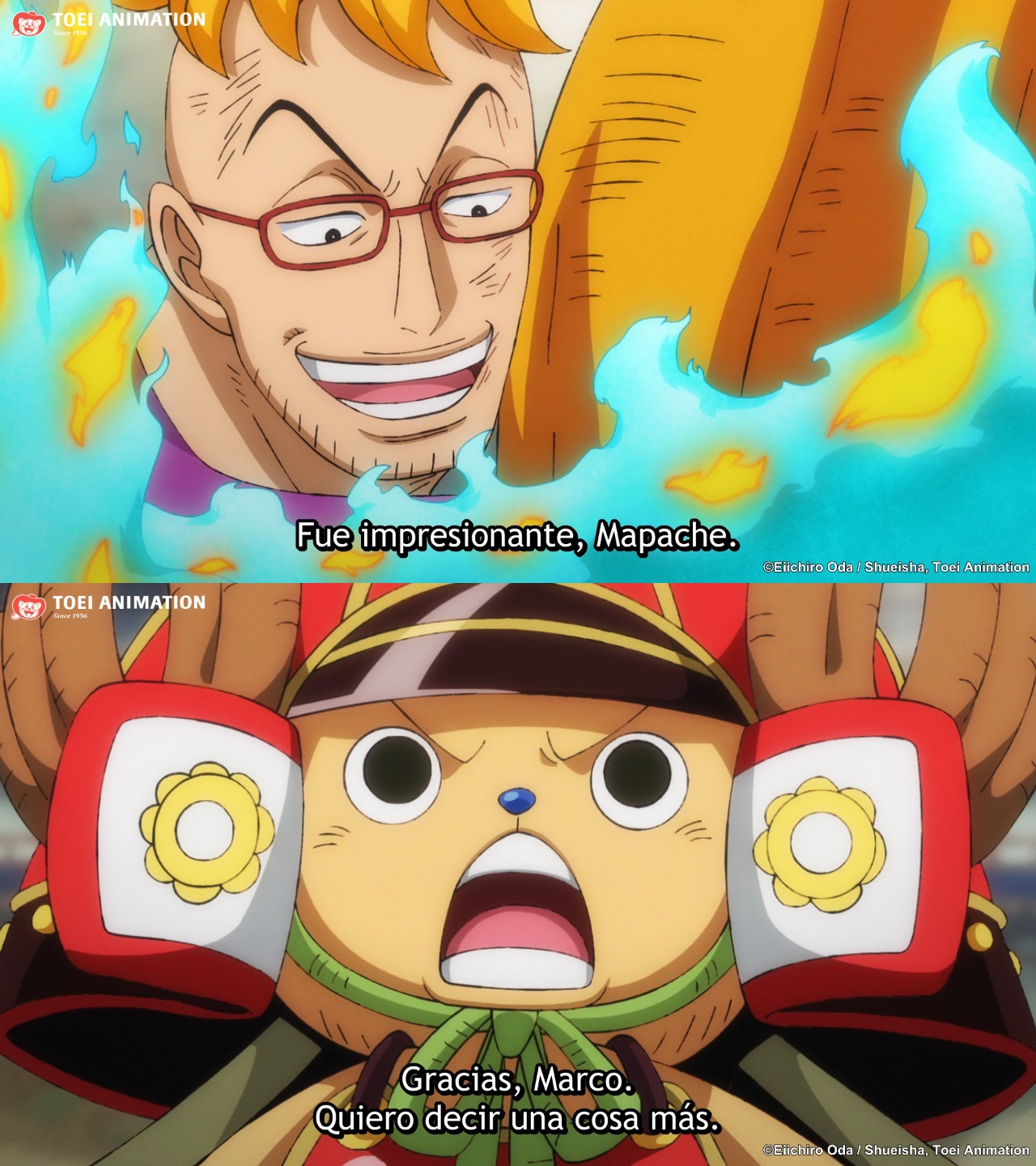 Crunchyroll.la - ¡Chopper no es un mapache! 😆 #OnePiece