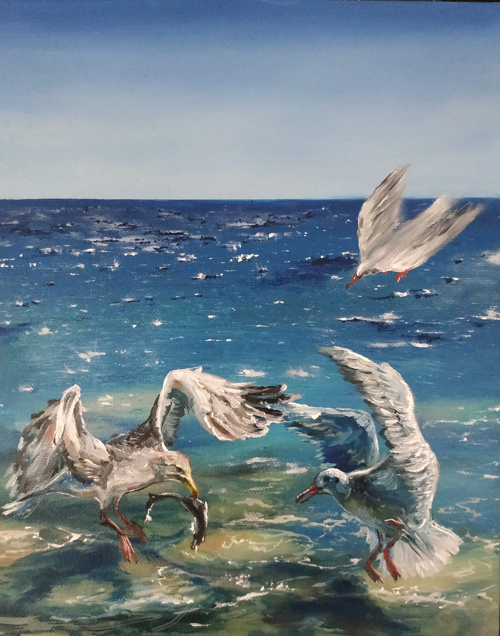 Seagull Jonathan Livingston, 2003 bromoil, 35 cm x 25 cm