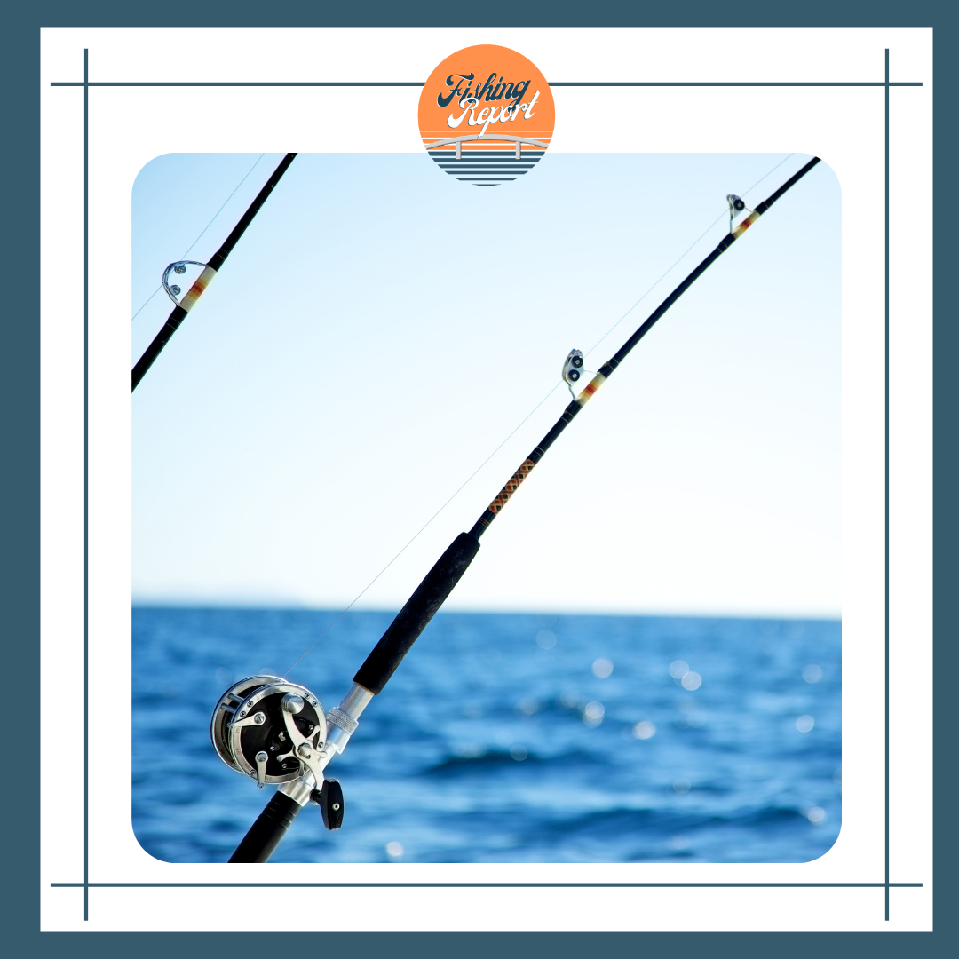brigantine fishing reel Penn BTLIV2500DX Battle IV DX Spinning guaranteeing smooth and resistant braking Brigantine fishing continues to be
