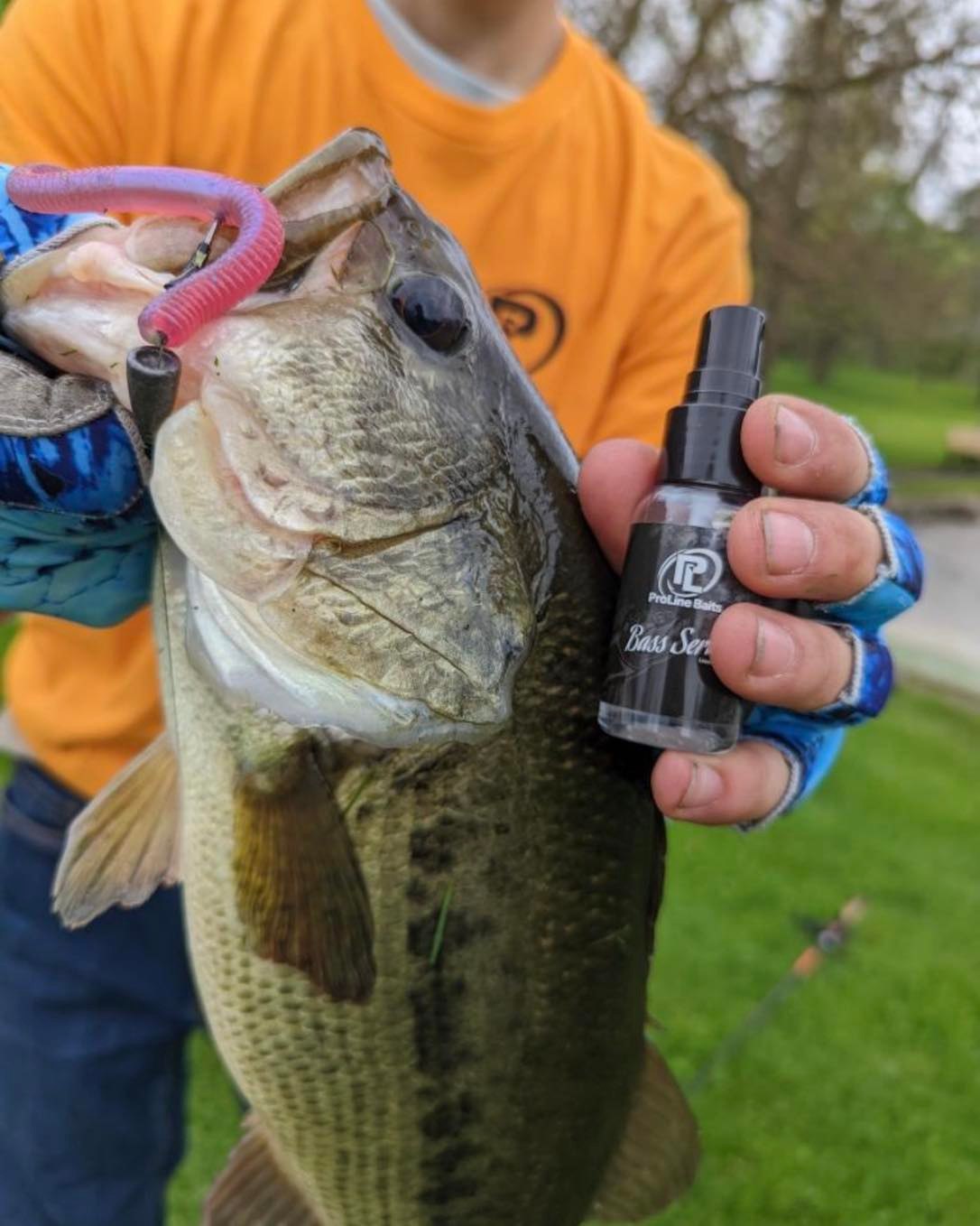 best baitcasting reel for beginners 2017 Trika Ti100 Casting Size:CFLT1000 polished titanium brake pads Fish Leather - Handmade Sibling:ambassadeur-carp-baitcast-reel