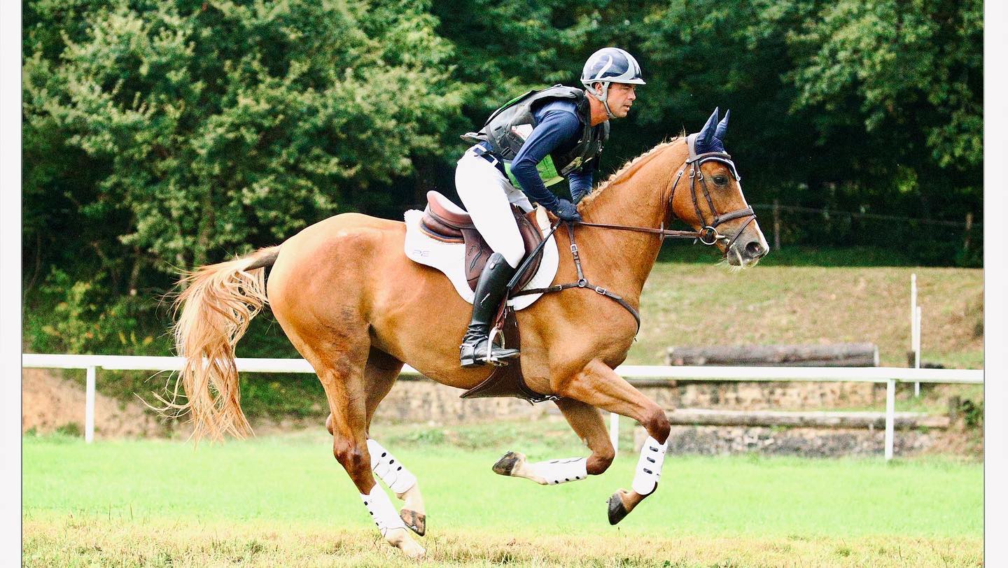Des nouvelles du cce jeunes chevaux... - Ecurie Benoît Parent | Facebook