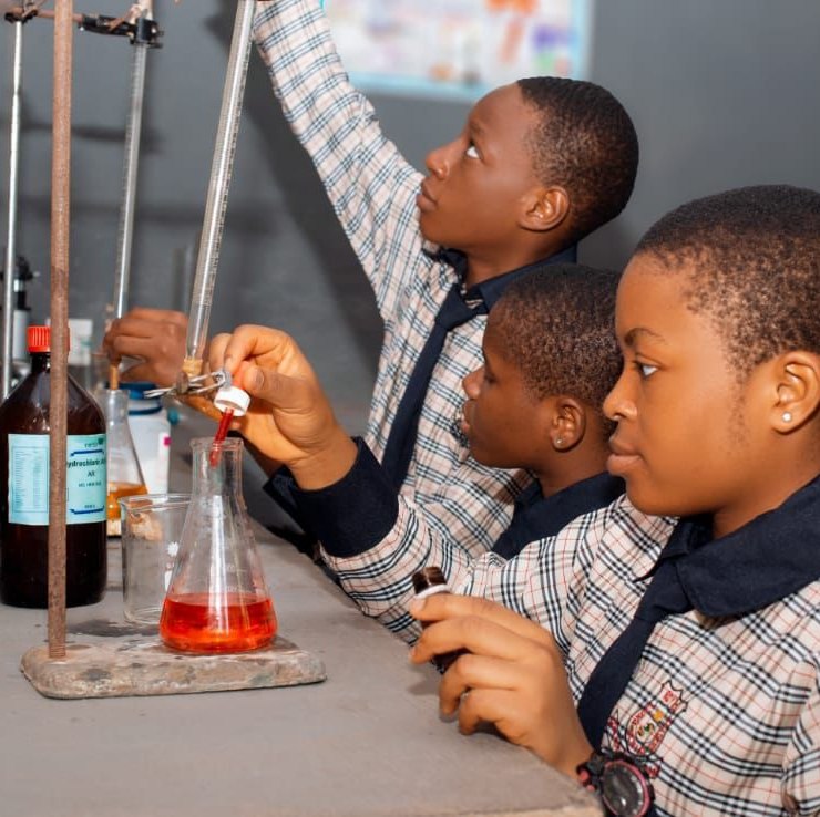 Our Year 7 & 8 students are taking their first steps into the exciting ...