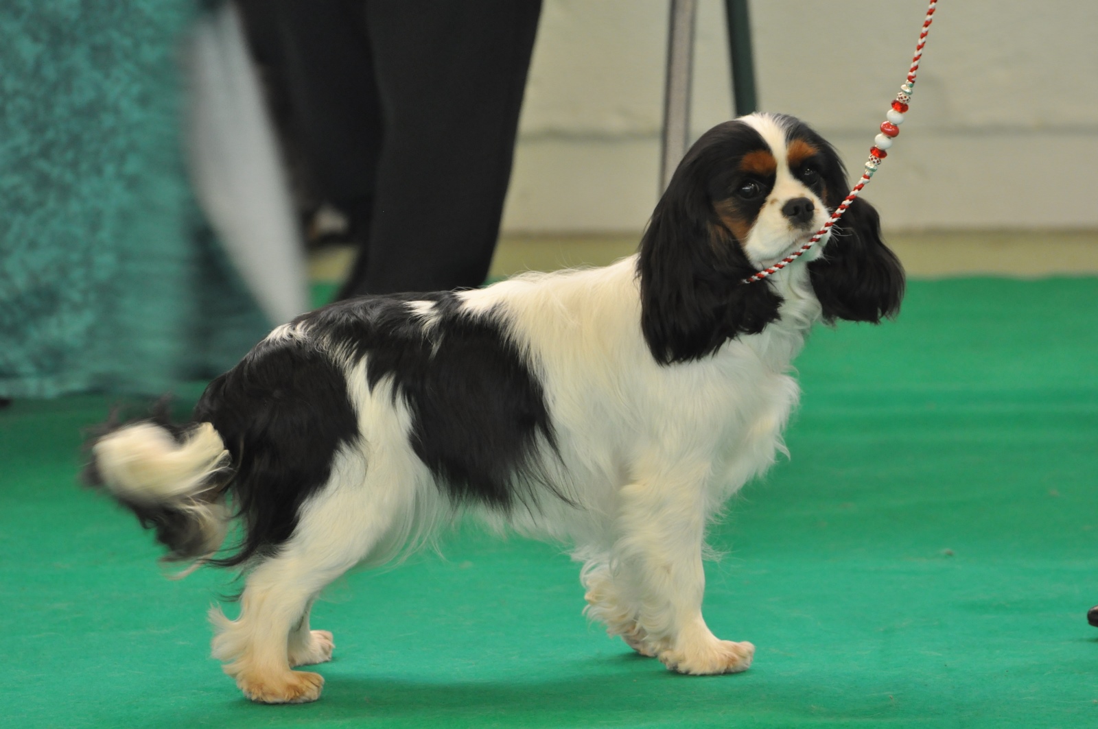 Sac Personnalisable CHIEN CAVALIER KING CHARLES - Fourre-tout Blanc En Polyester - Marque CréaCat - Neuf