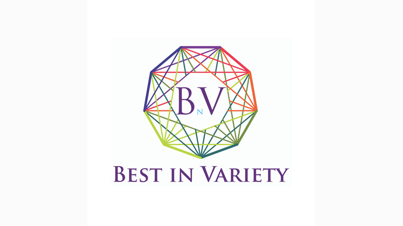 Best In Variety Store