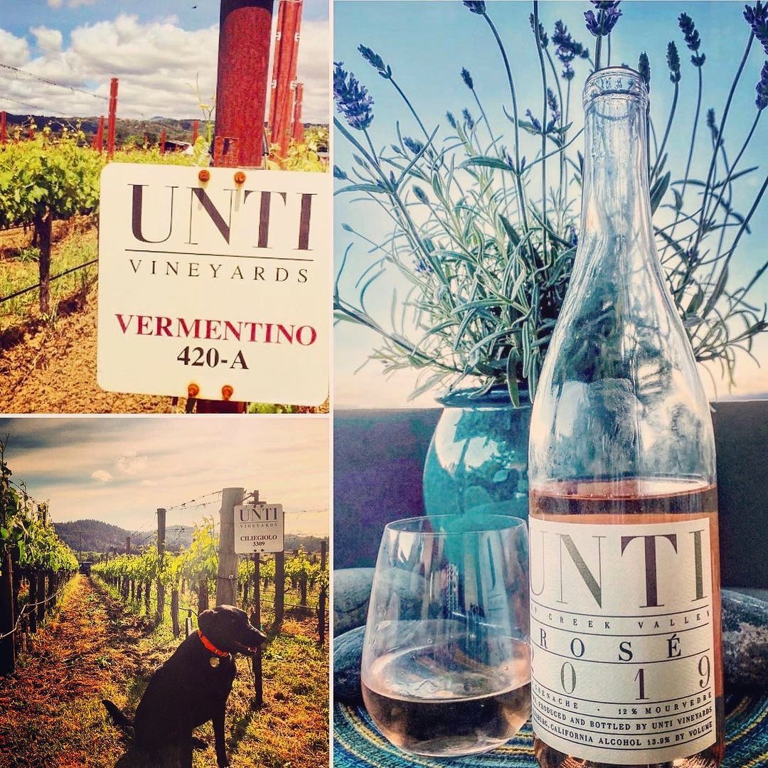 Unti Vineyards & Winery | Healdsburg CA