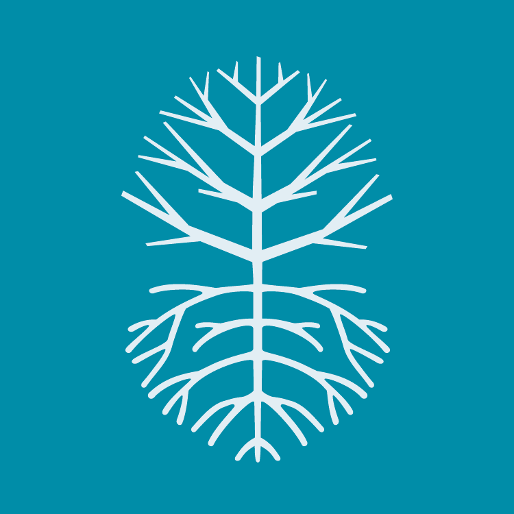 From culture to art, music, and eco-conscious celebrations - our ...