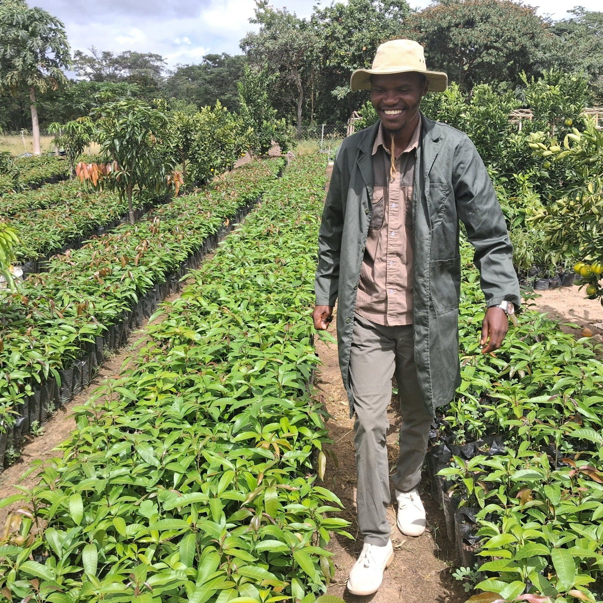 Nekuti tine Hushamwari Nemiti. Book grafted fruit trees from us ...