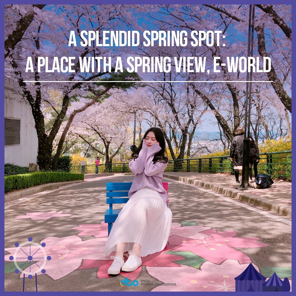 Daegu travel - A Place with a Spring View, E-World Is...