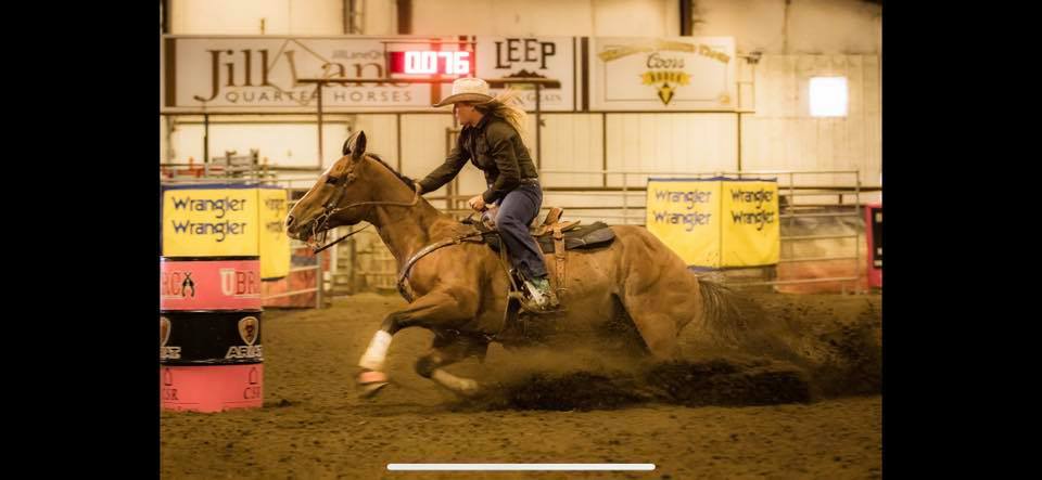 Miller Ranch Performance Horses