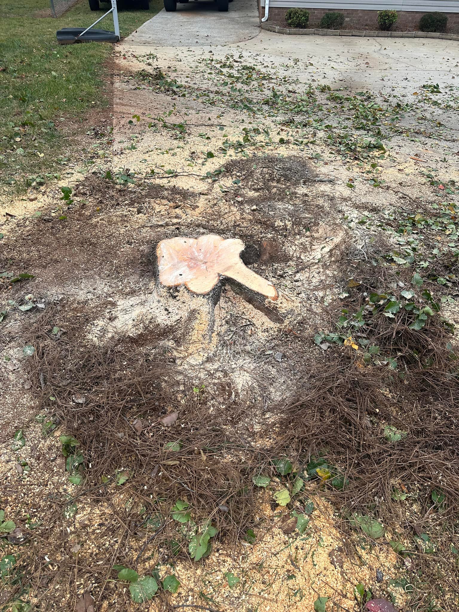 All-American Stump Grinding & Removal | Dallas NC