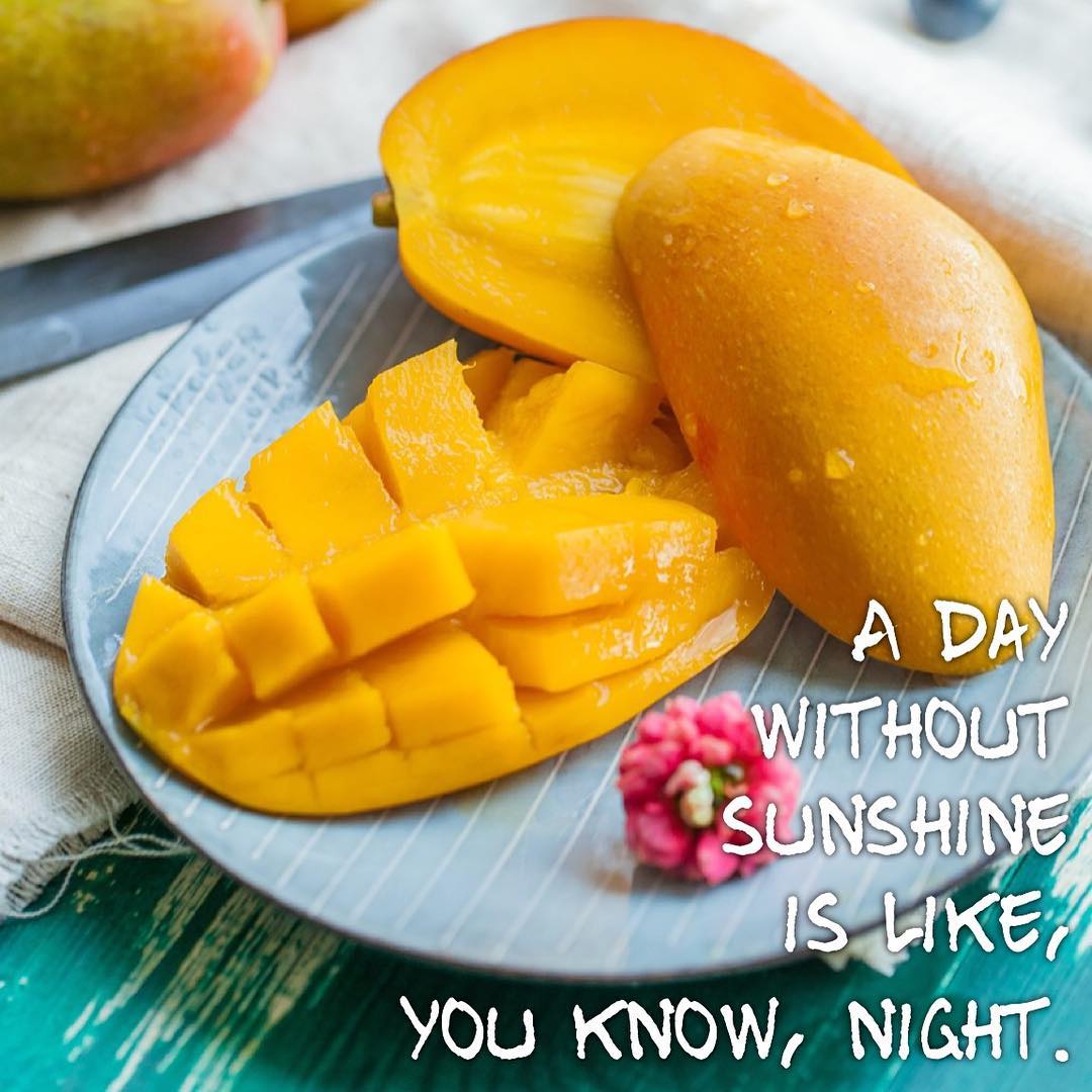 Kōwhai - This new mango kombucha is rocking our world, and tastes just ...