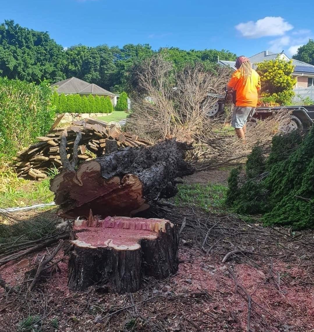 Tree and Stump Removal Services North Brisbane | Redcliffe QLD