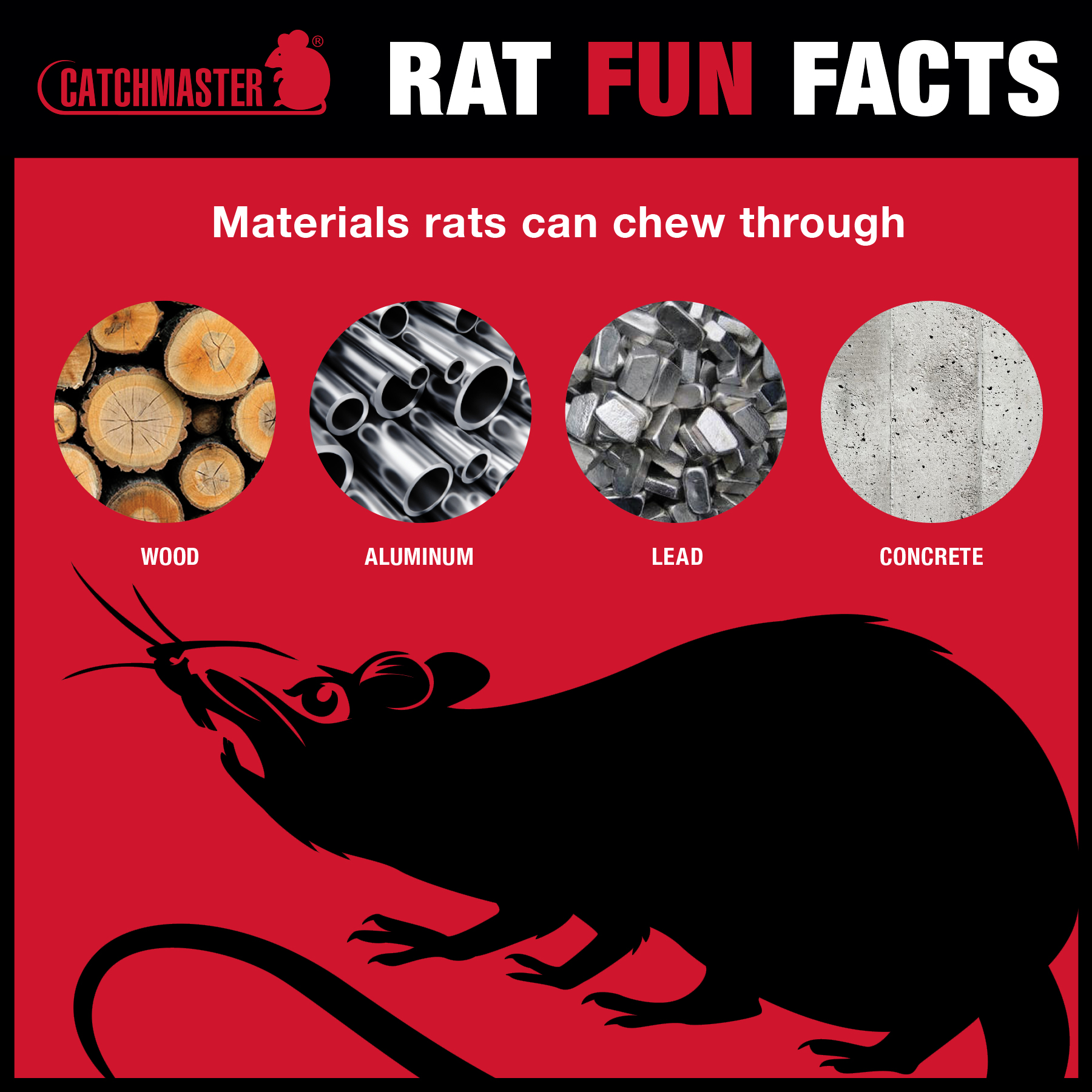 Resolvit Pest Control Tauranga BOP