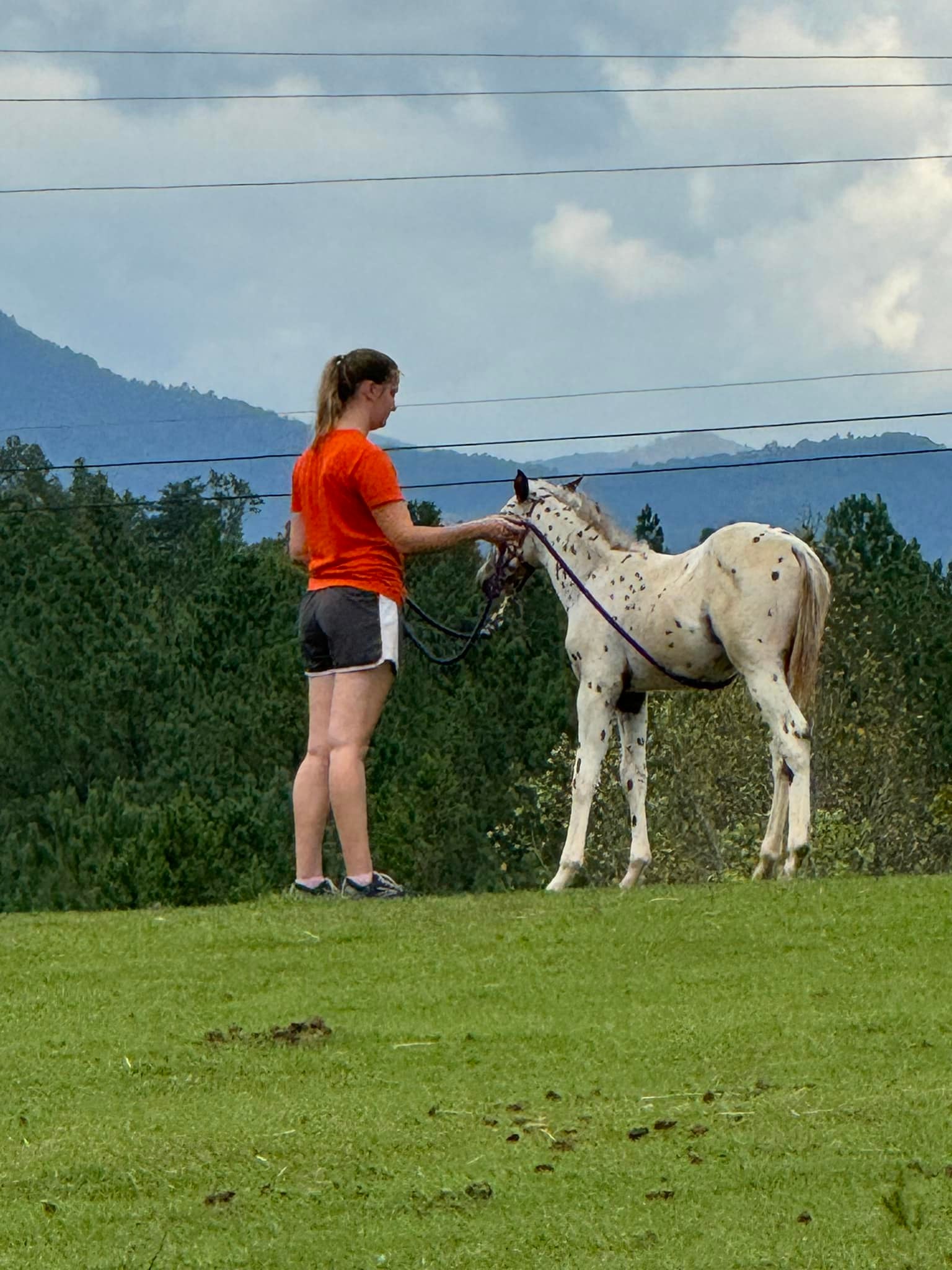 Winning Spirit Ranch Tamassee, SC | Tamassee SC