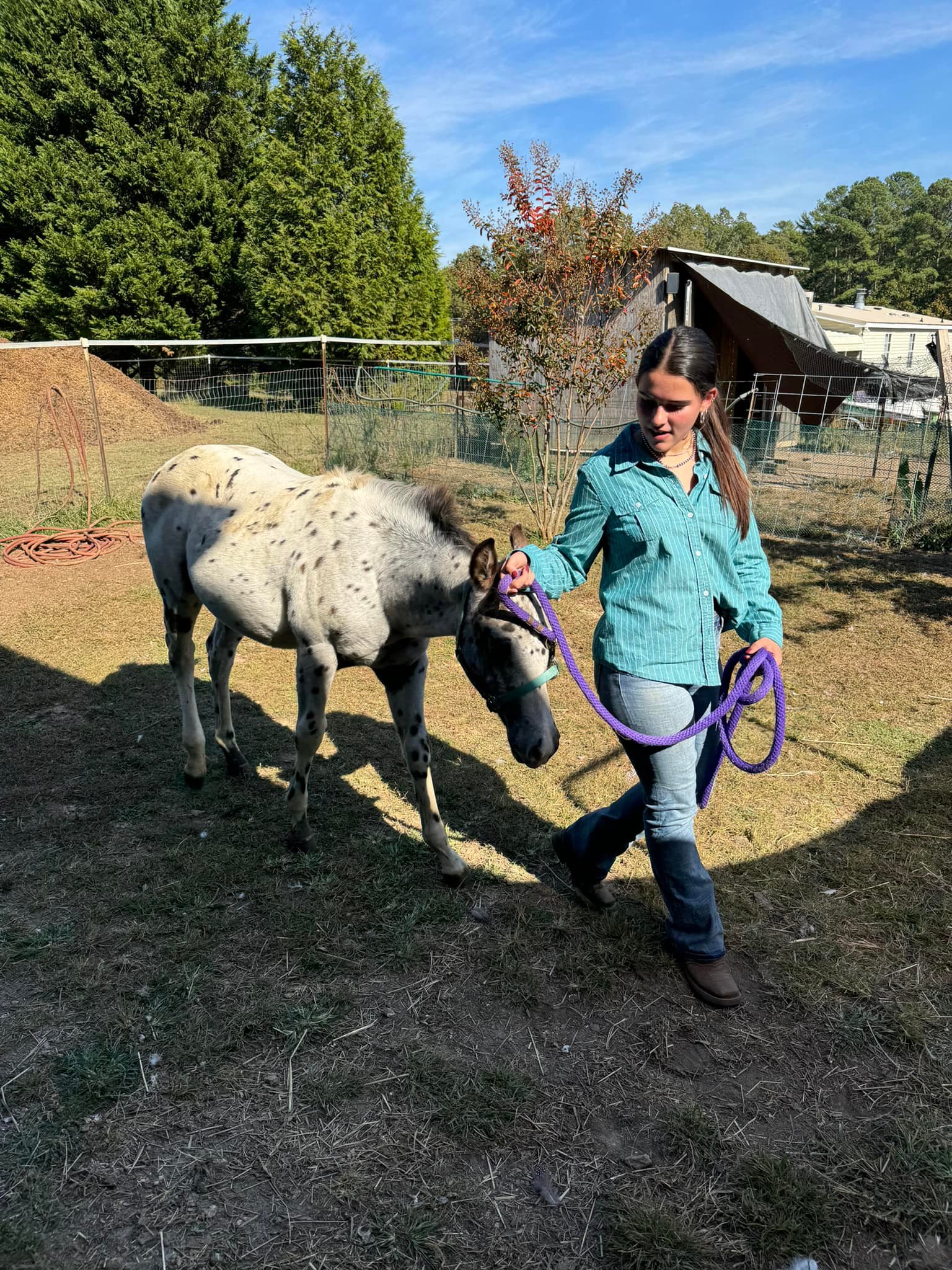 Winning Spirit Ranch Tamassee, SC | Tamassee SC