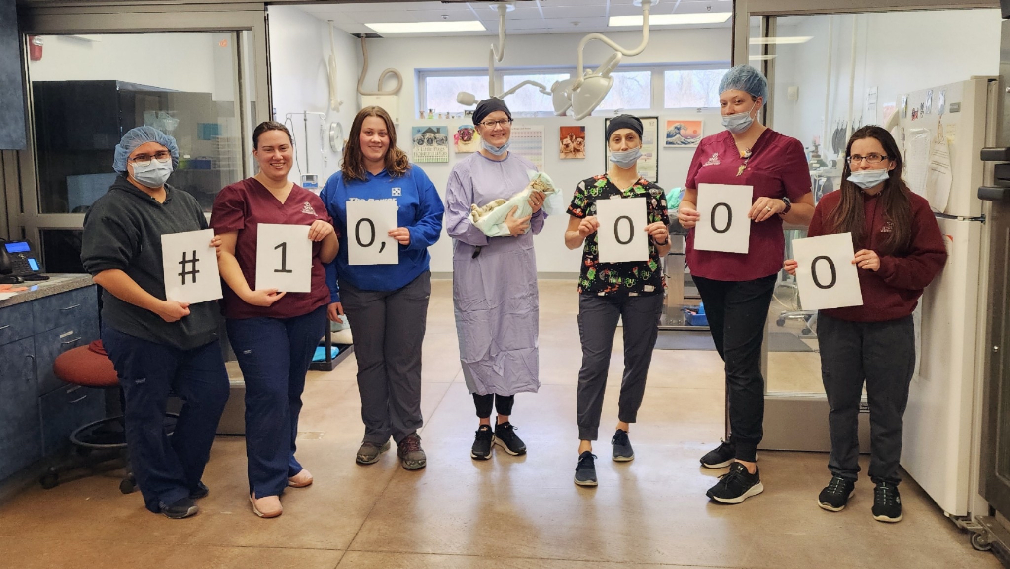 York - We're thrilled to share that our Spay/Neuter Clinic performed ...