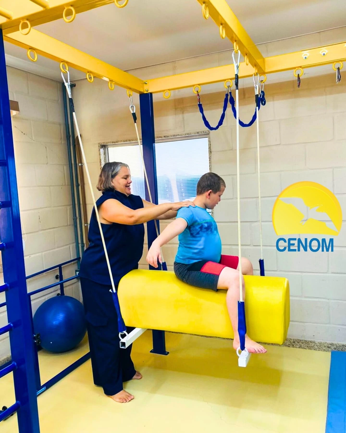 CENOM - A Fisioterapia pode auxiliar no desenvolvimento de... | Facebook