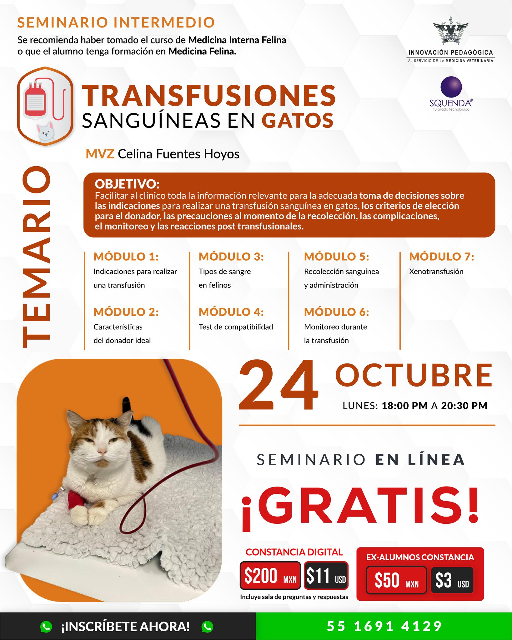 INVAE - Conoce la información relevante para la adecuada toma de ...
