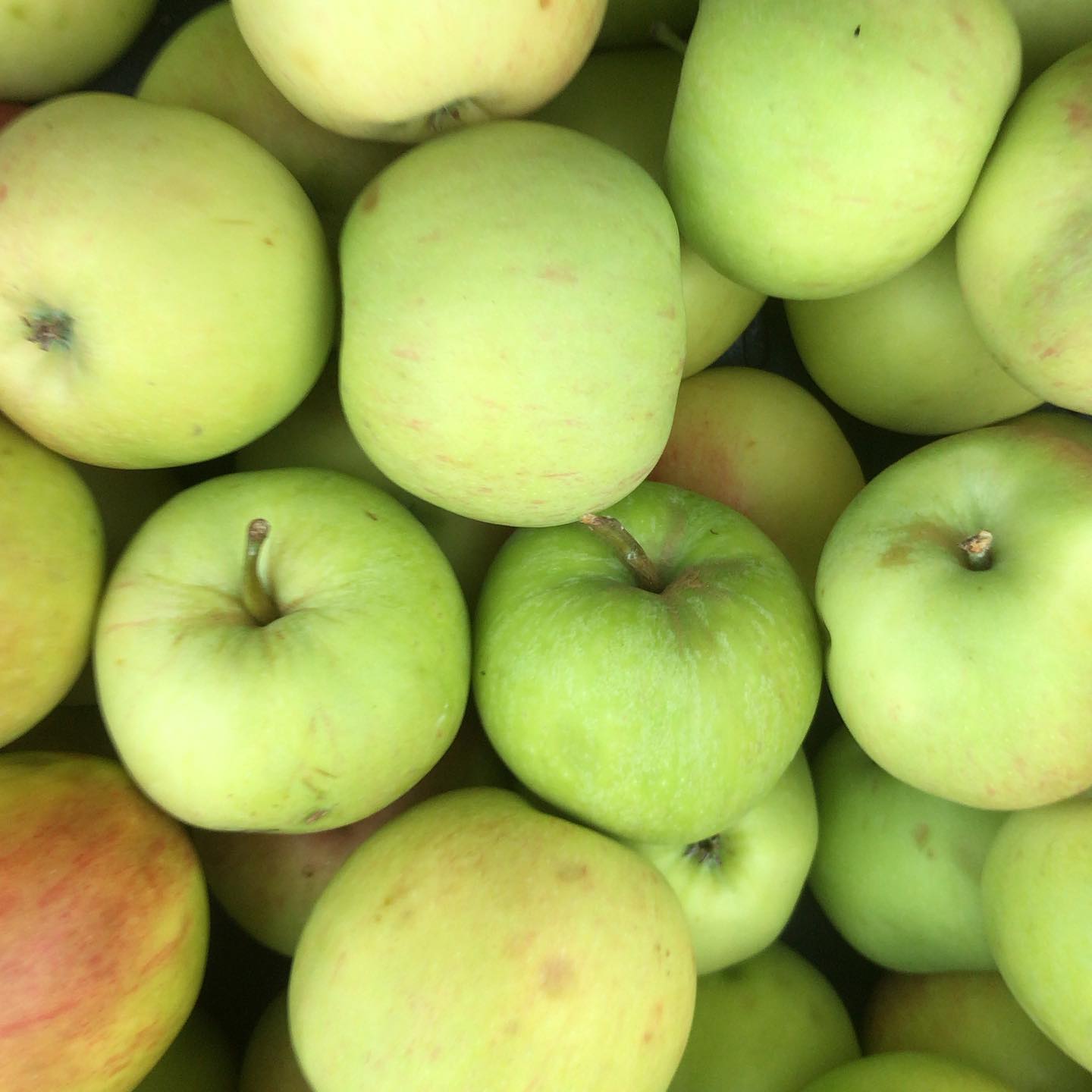 De laatste James greeve voor... - Groente & Fruit Warnsveld