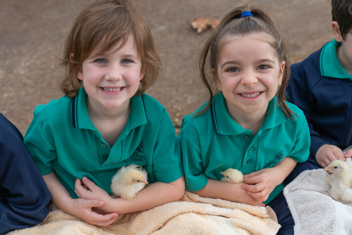 🐑🐕🦆👩‍🌾 FARM INCURSION 👨‍🌾🐄🐖🐣... - Corpus Christi College, WA | Facebook