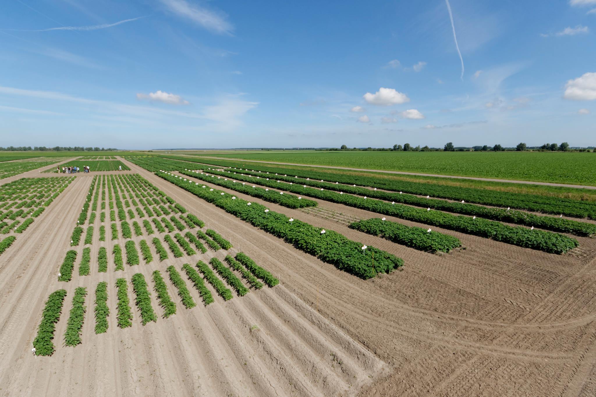 SPNA Agroresearch