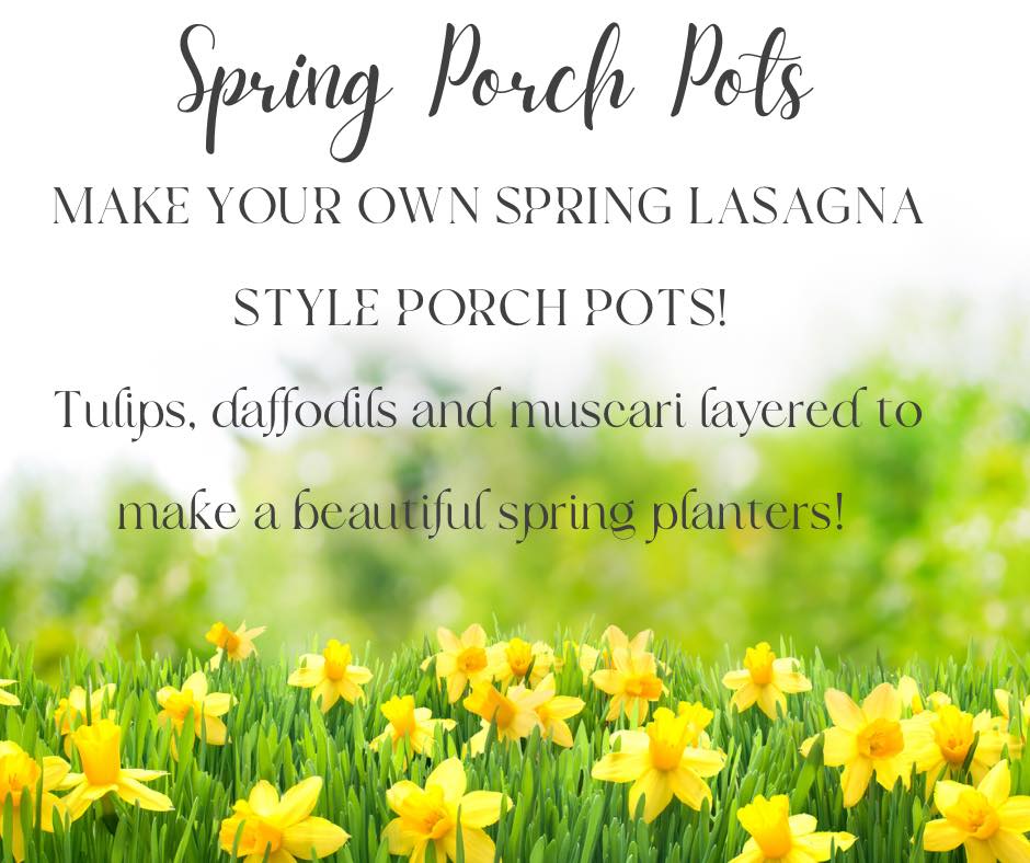 Urban - We are excited to offer lasgana spring porch pots! For $50 you ...