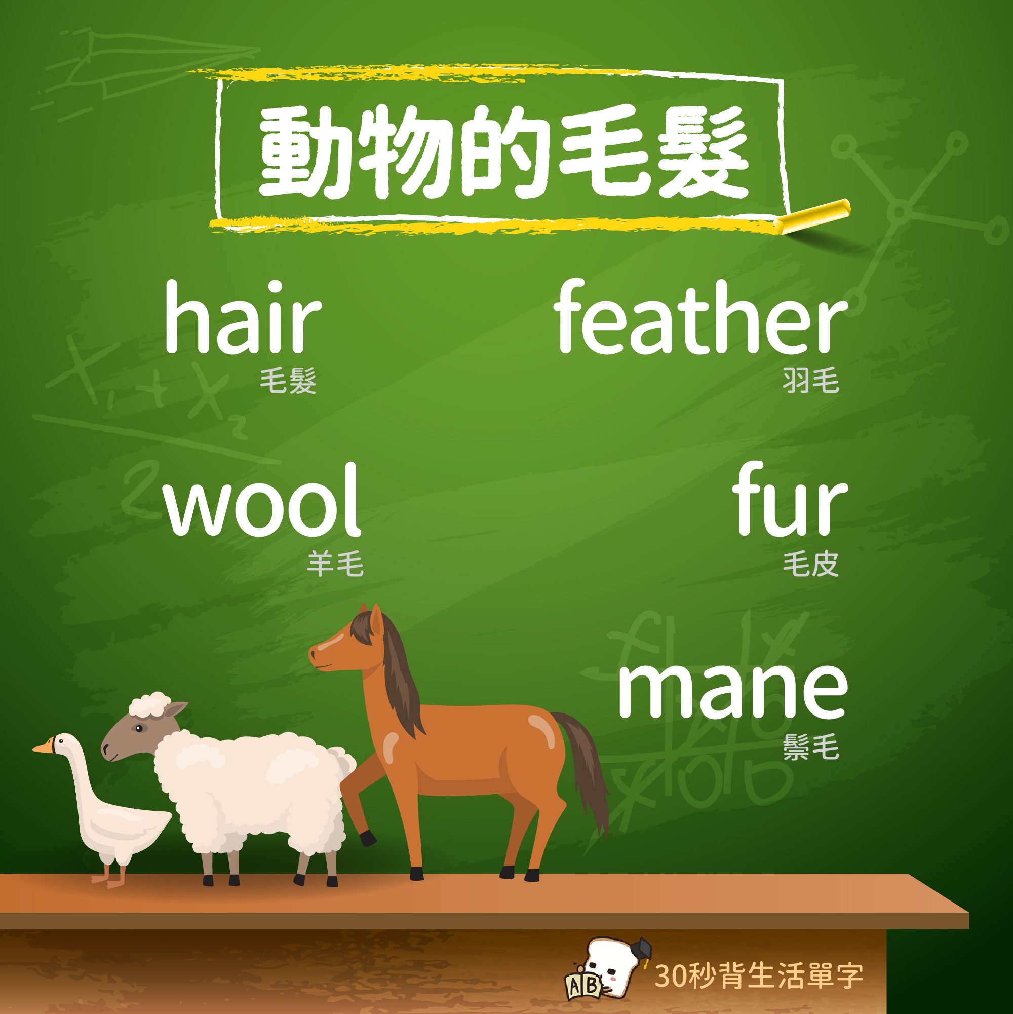 Gjun-就愛嗑英文吐司 - 【Wed.】#30秒背生活單字 【動物的毛髮】的英文 ★ hair (人)毛髮 ★... | Facebook