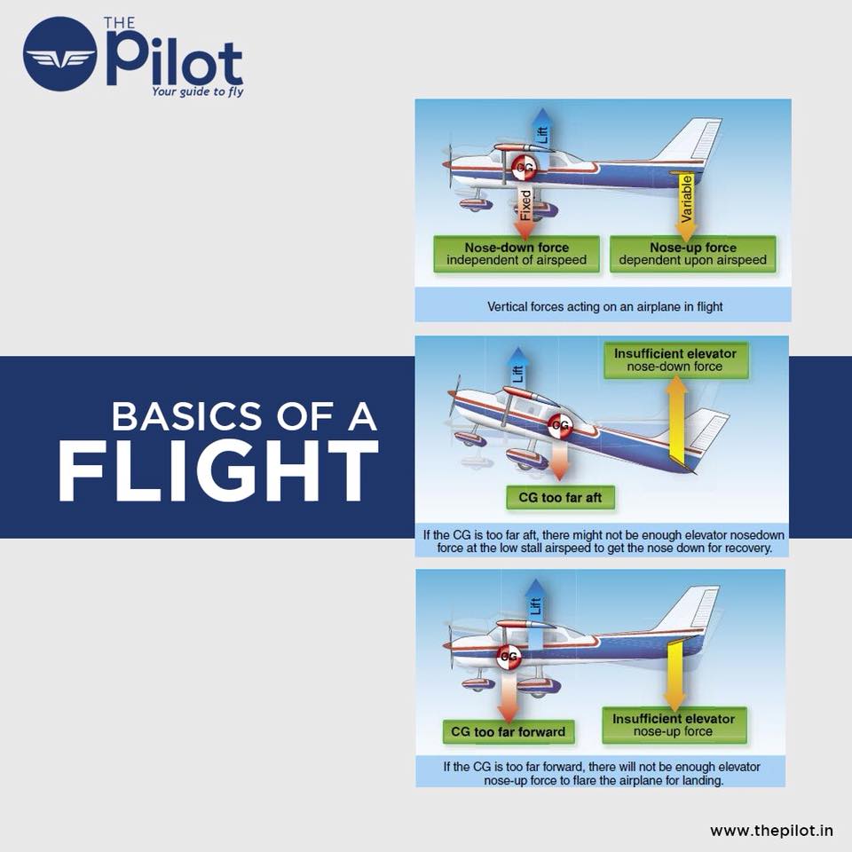 ThePilot.in - #DidYouKnow the Basics of a Flight? If not,... | Facebook