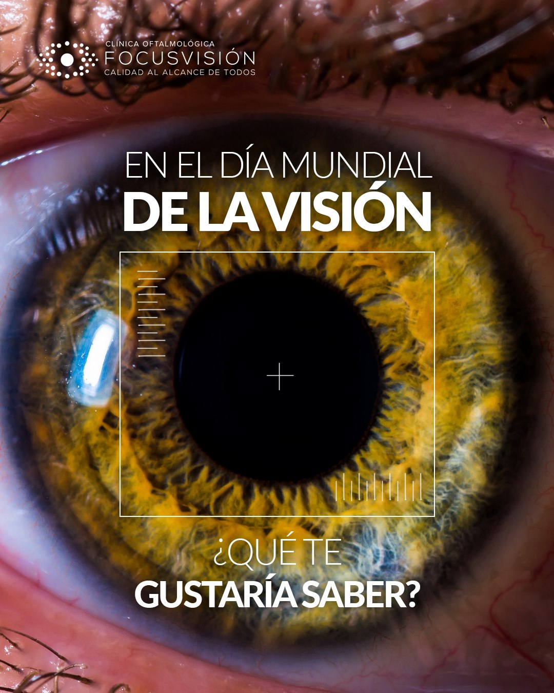 FocusVision - Hoy es el Día Mundial de la Visión 👀 y...