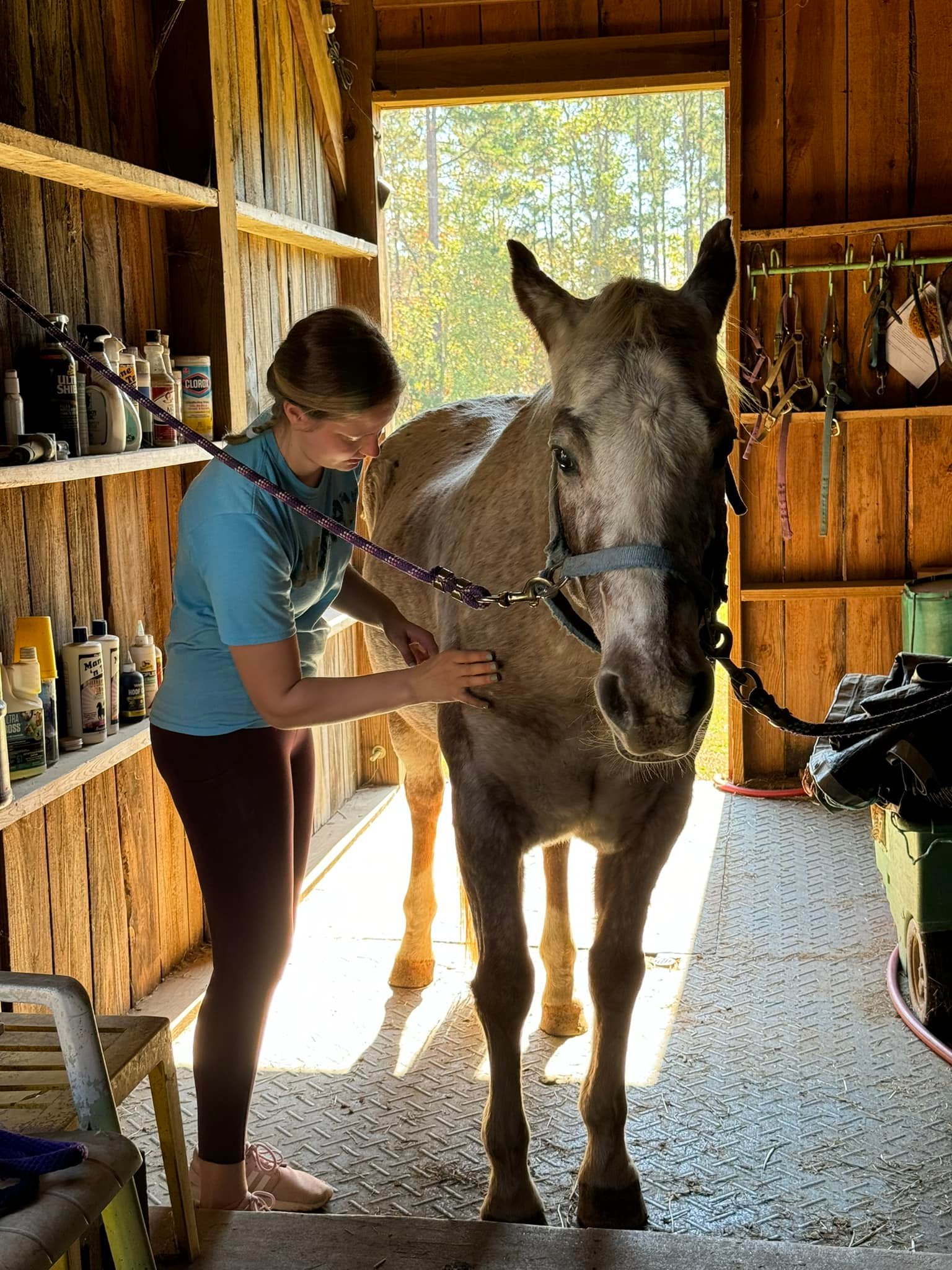Winning Spirit Ranch Tamassee, SC | Tamassee SC