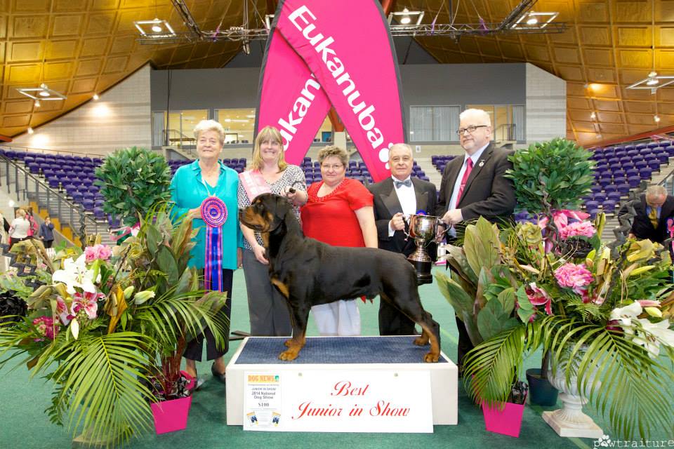 Moya Rottweilers