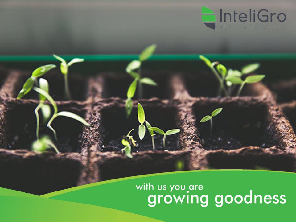 InteliGro - What do all the numbers on the fertilizer bag... | Facebook