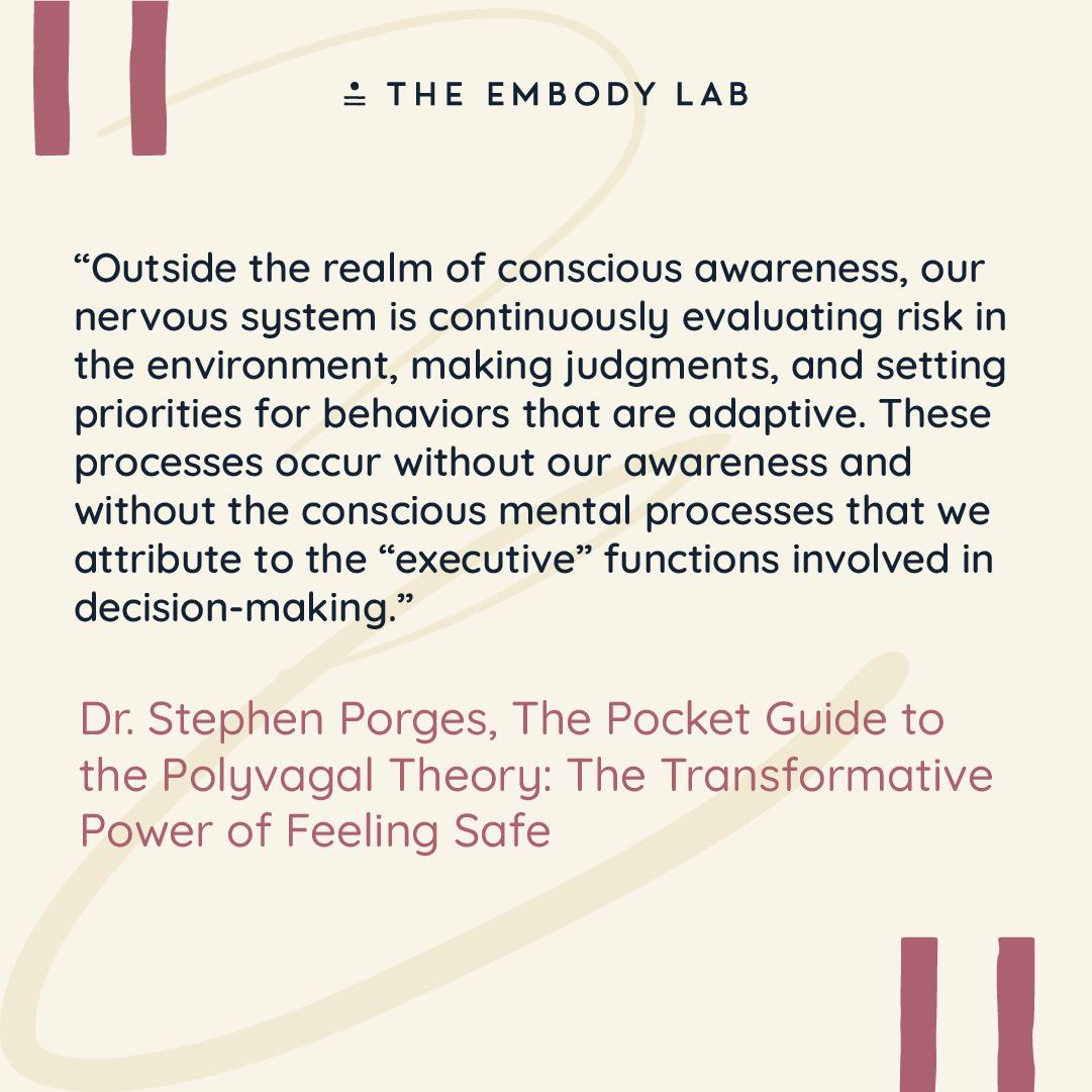 The Embody Lab - Polyvagal theory, developed by Dr.... | Facebook
