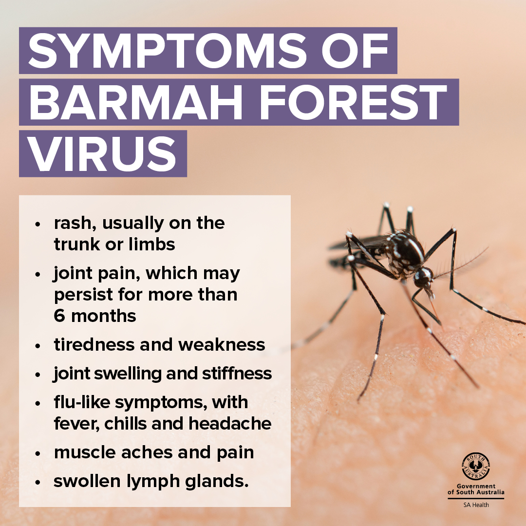 SA Health - The most common diseases spread by mosquitoes... | Facebook