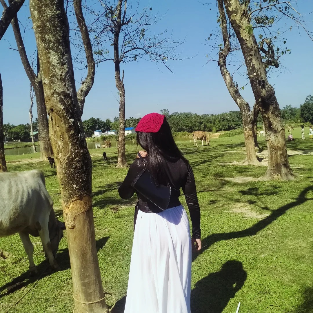 Treely Agitok