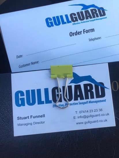 Gull Guard Ltd - 🚨 Nesting season is here! 🚨 If you’re... | Facebook
