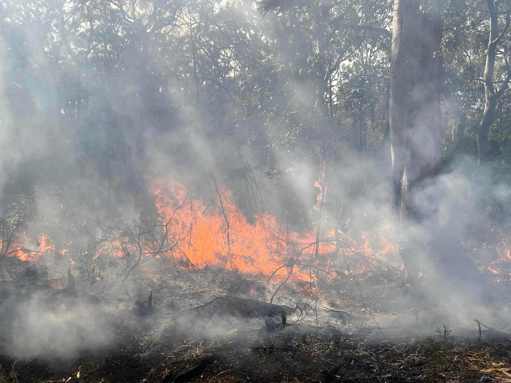 Wyee Point Rural Fire Brigade | Wyee Point NSW