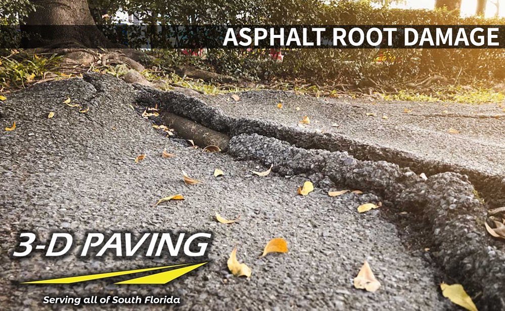 3-D Paving and Sealcoating - Got root damage? 3-D Paving & Sealcoating ...
