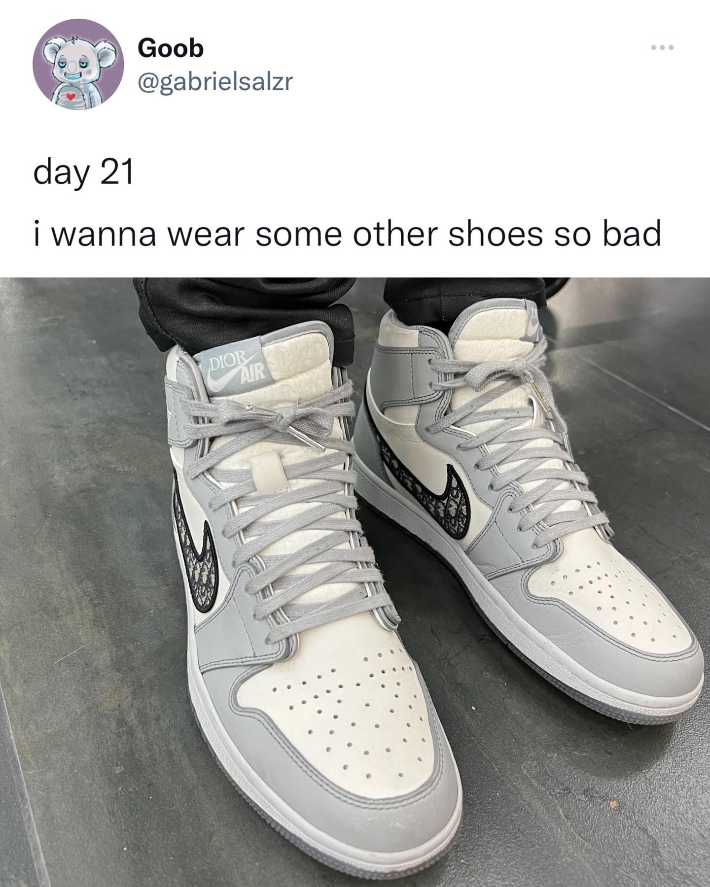 30 days straight of wearing the Dior x Air Jordan 1 comes to a 