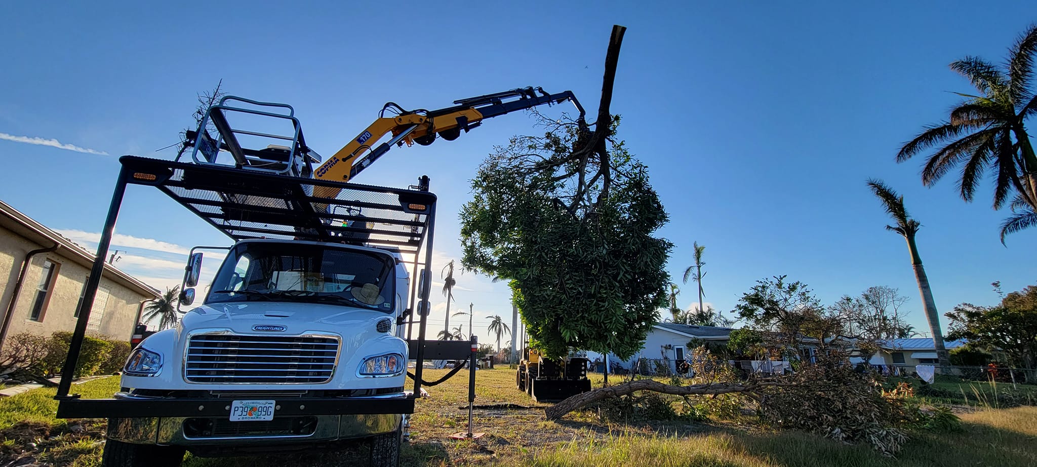 Farina Tree Care | Fort Lauderdale FL