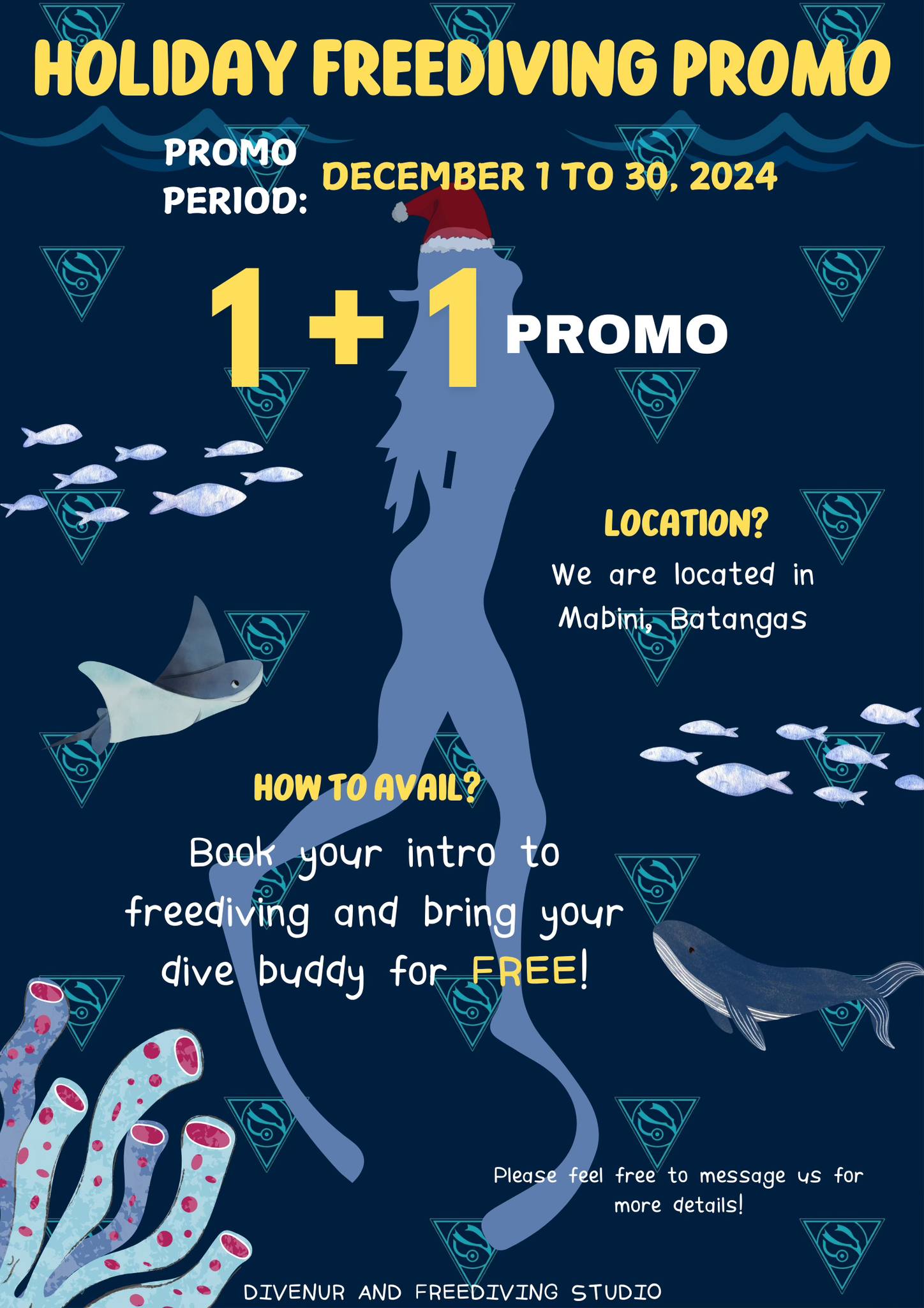 DiveNur & Freediving Studio | Mabini