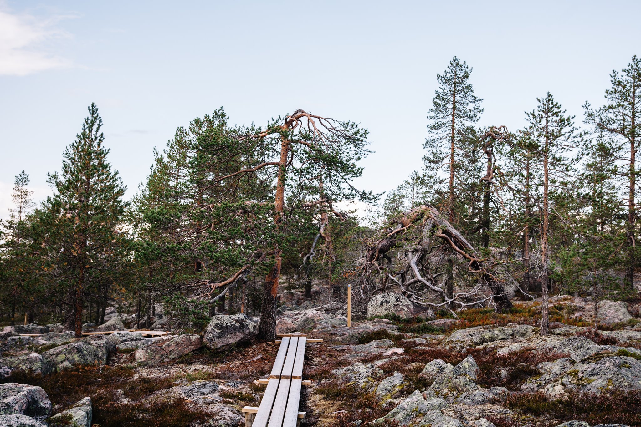 Etelä-Portimojärven... - Etelä-Portimojärven kyläyhdistys r.y.
