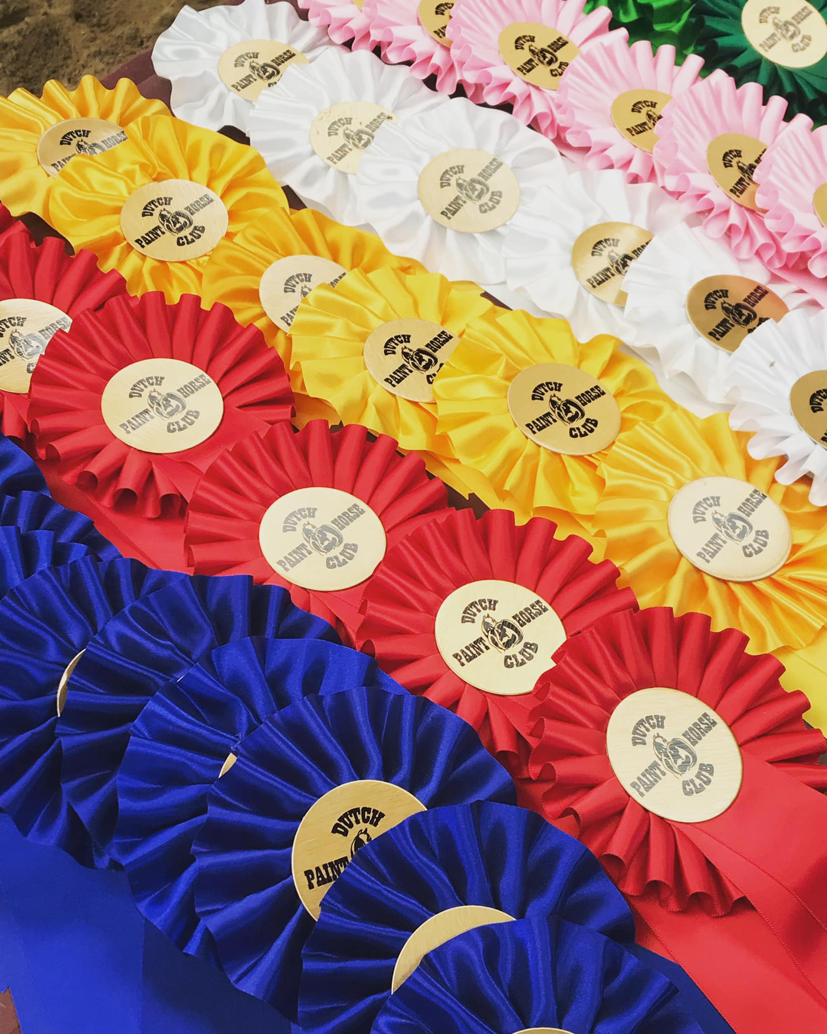 🥇🥈🥉 ribbons ribbons ribbons... - DPHC Dutch Paint Horse Club