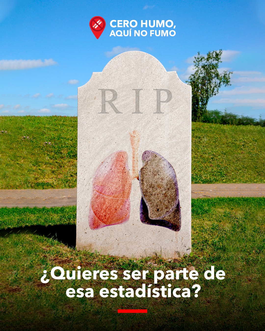 Cero humo, aquí no fumo