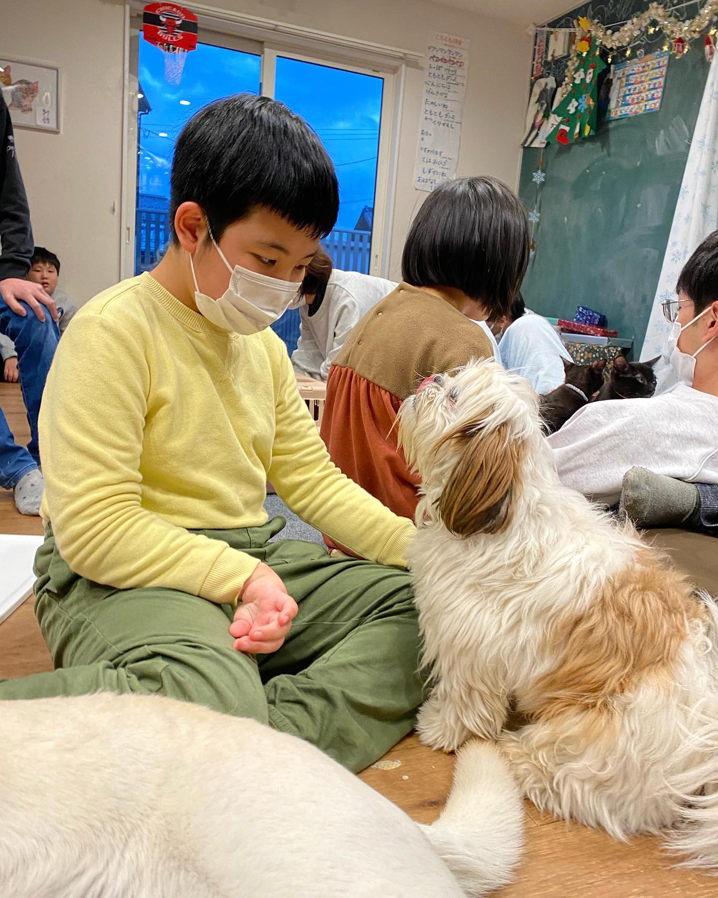 みんなの家ともとも - おはこんばんちは 偶然は 必然 自然な流れ 然るべき出会いを 今日もありがとう...