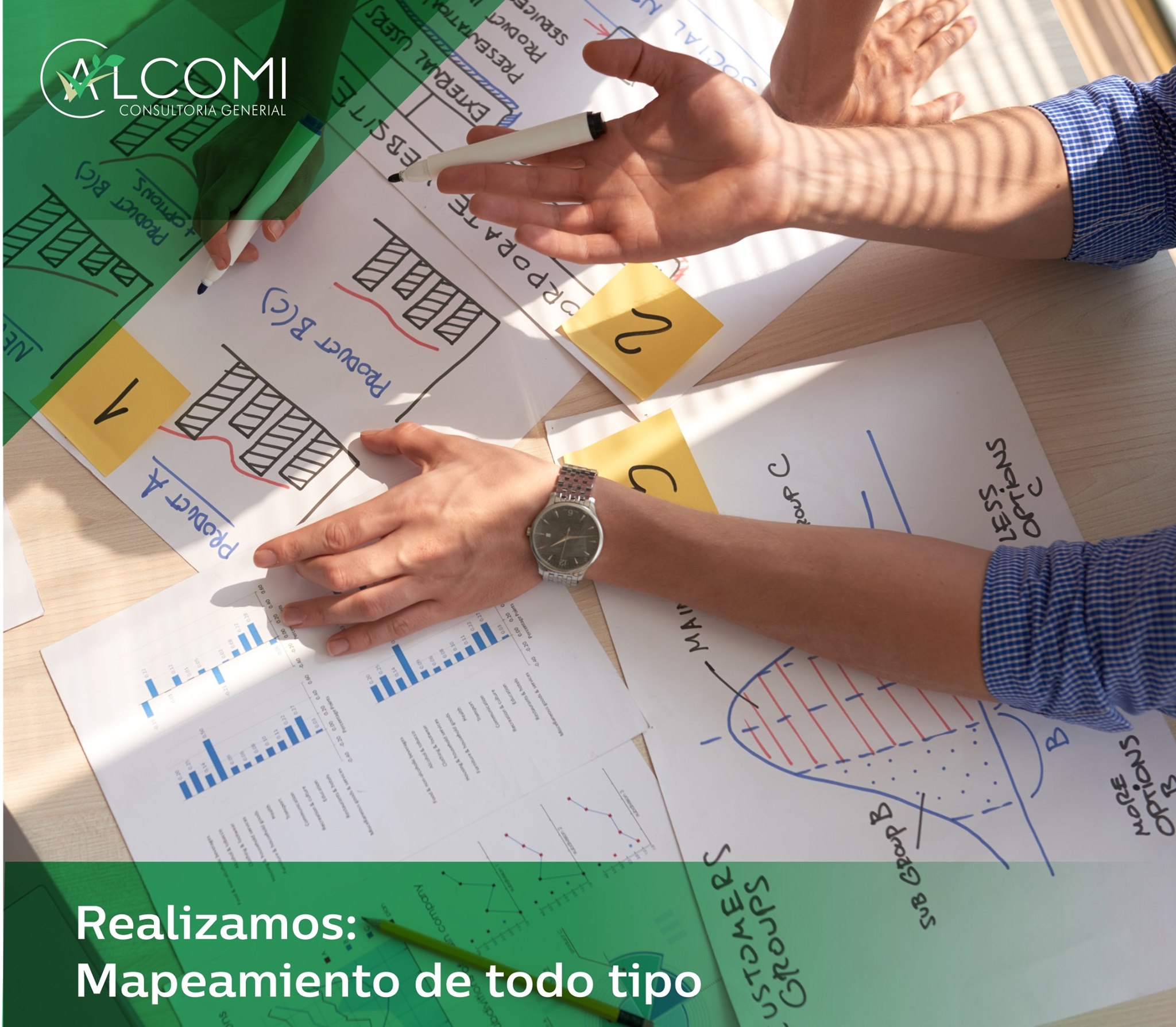 Alcomi - Consultoría General - Home