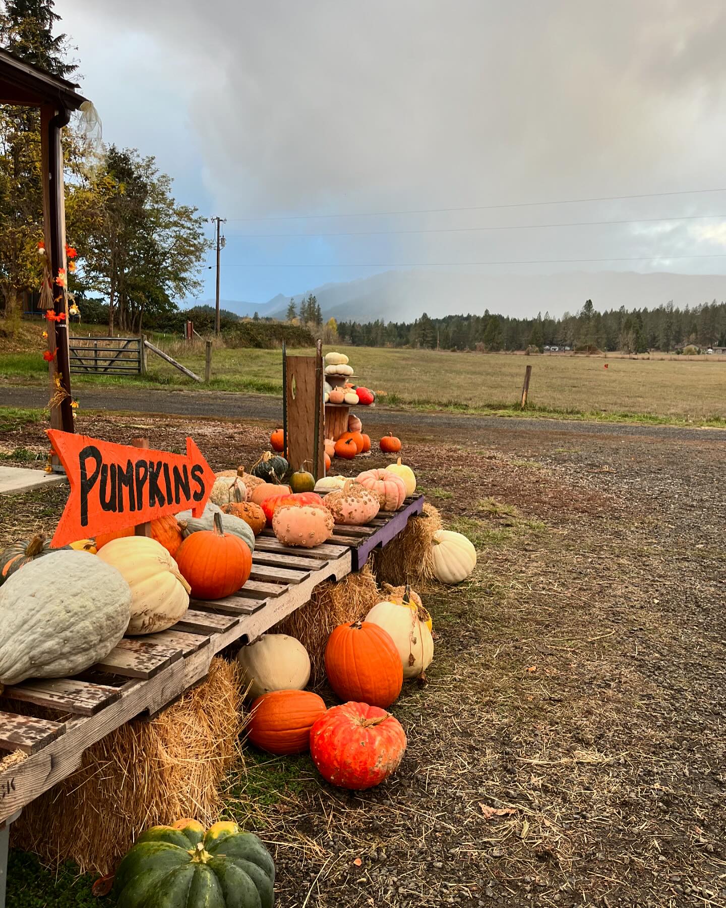 Bare Hill Farm | Roseburg OR