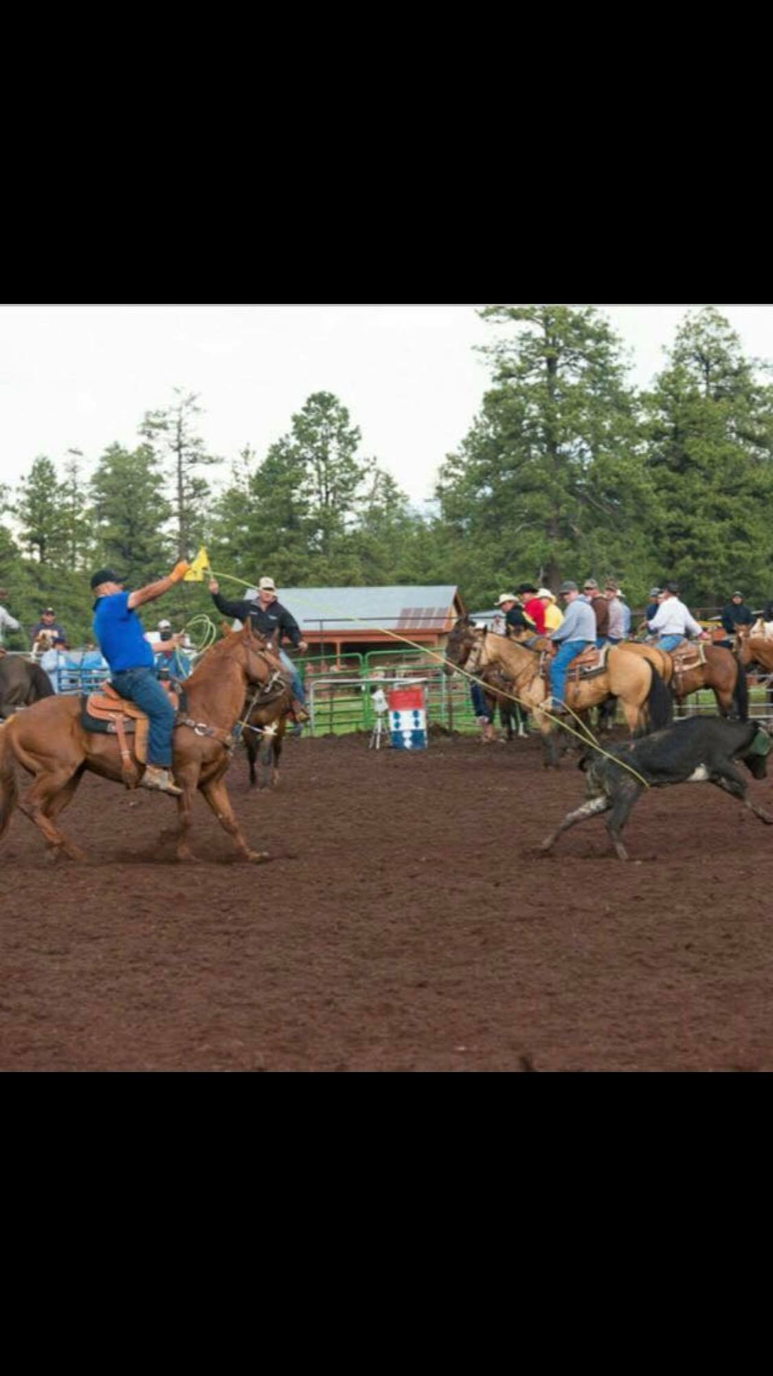 HERO RODEO - HERO RODEO added a new photo.