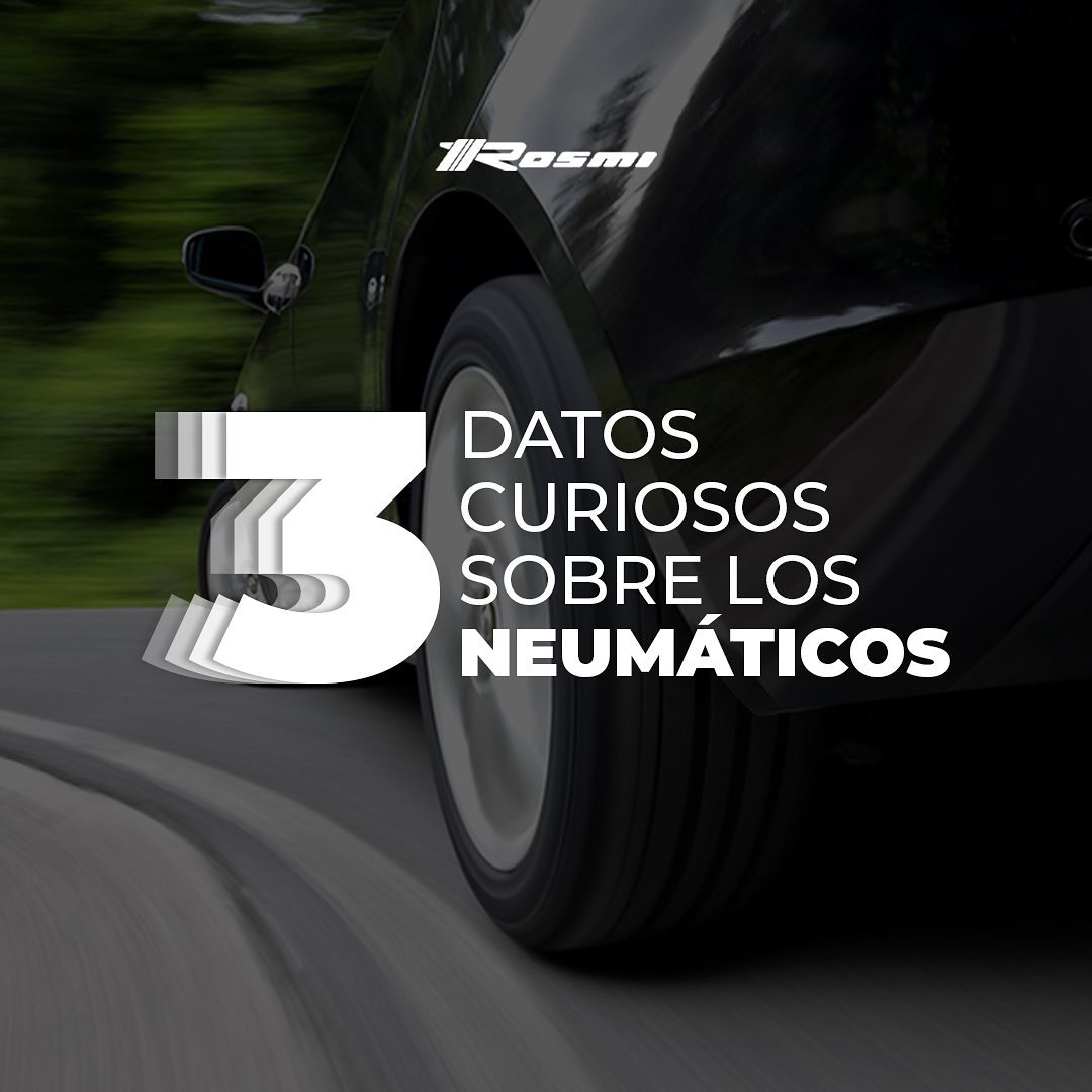 Grupo Rosmi - Hoy te traemos 3 datos curiosos 💡 sobre los...