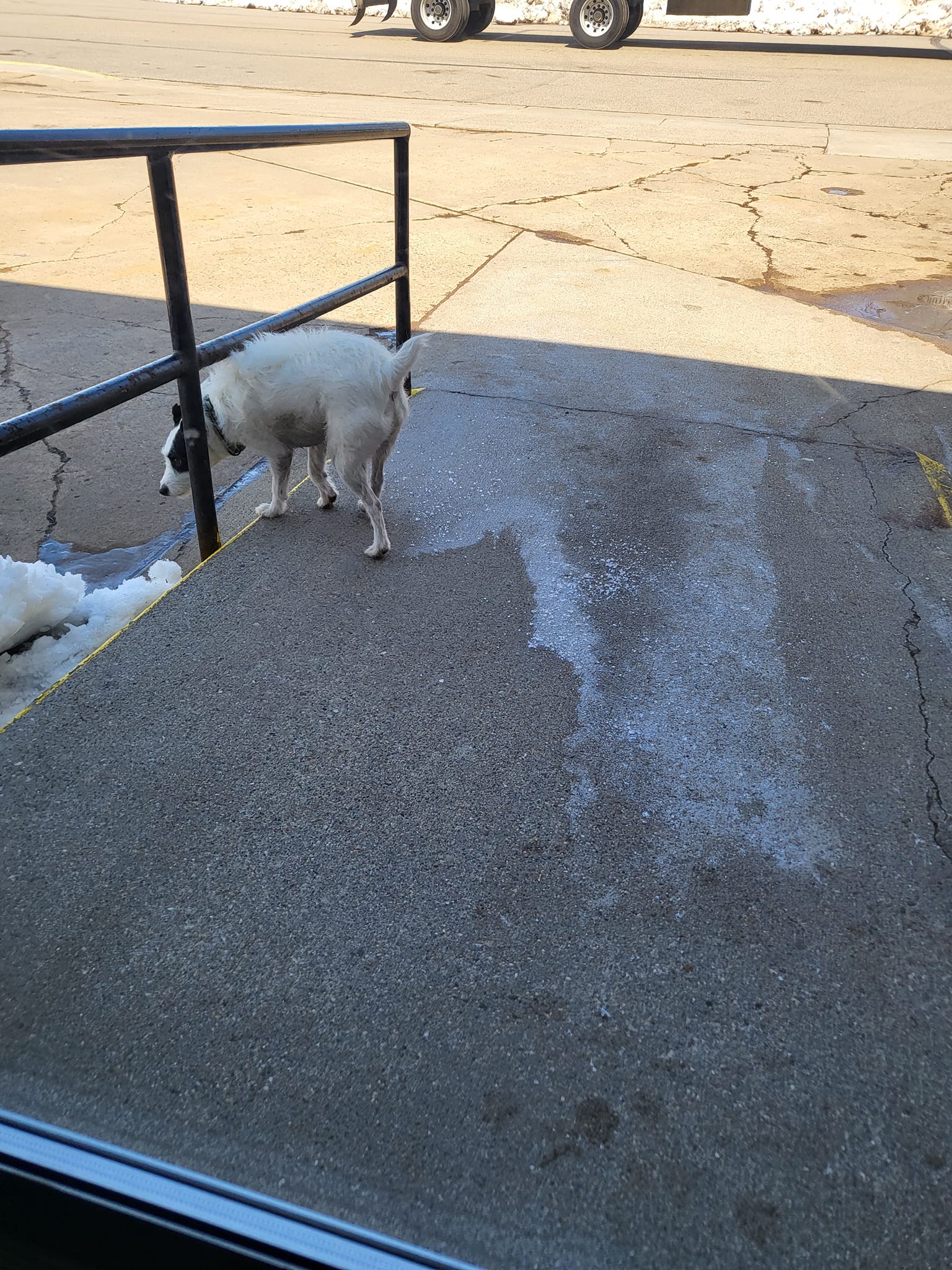 Zuroff Repair Inc. Home